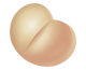 Køb Zebeta